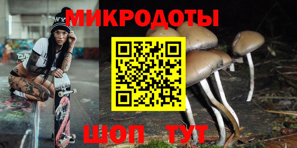 Галлюциногенные грибы прущие грибы Губкин